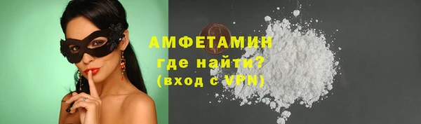 гашик Пересвет