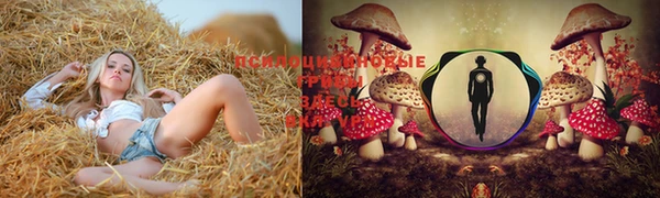 бутик Дмитриев