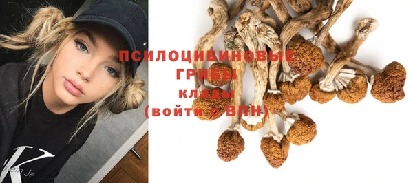 герыч Переславль-Залесский