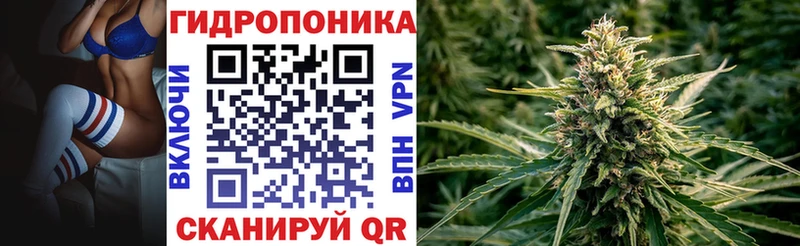 Бошки марихуана AK-47  Сольвычегодск 